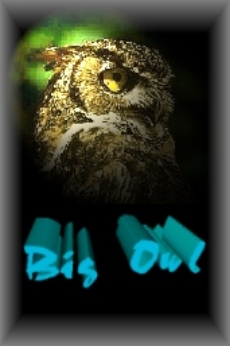 The Owl